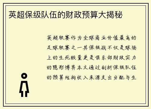 英超保级队伍的财政预算大揭秘